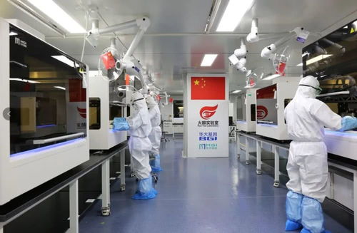 探访武汉 火眼实验室 ,核酸检测如何避免出现 假阴性
